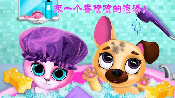 迷你城市猫狗乐园最新版下载,迷你城市猫狗乐园,经营游戏,照顾游戏