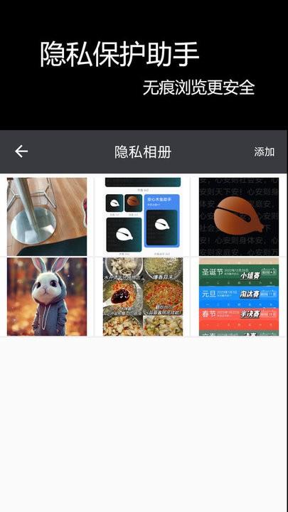 浏览器隐身助手app手机版下载,浏览器隐身助手,工具app